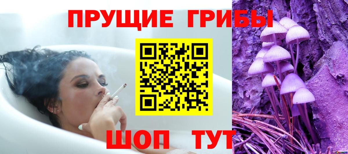 где купить наркоту  Вход с VPN  Муравленко  Галлюциногенные грибы MAGIC MUSHROOMS 