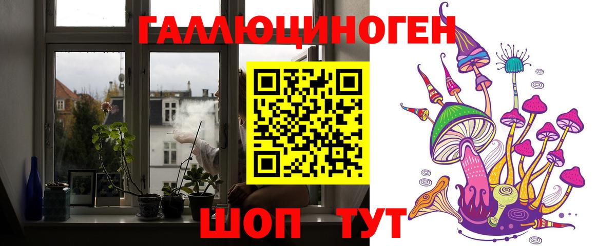 Галлюциногенные грибы Psilocybe Муравленко